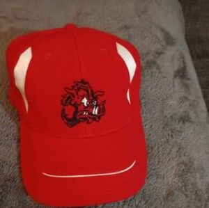new Arkansas razorback baseball caps